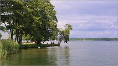 ... am Scharmützelsee ...