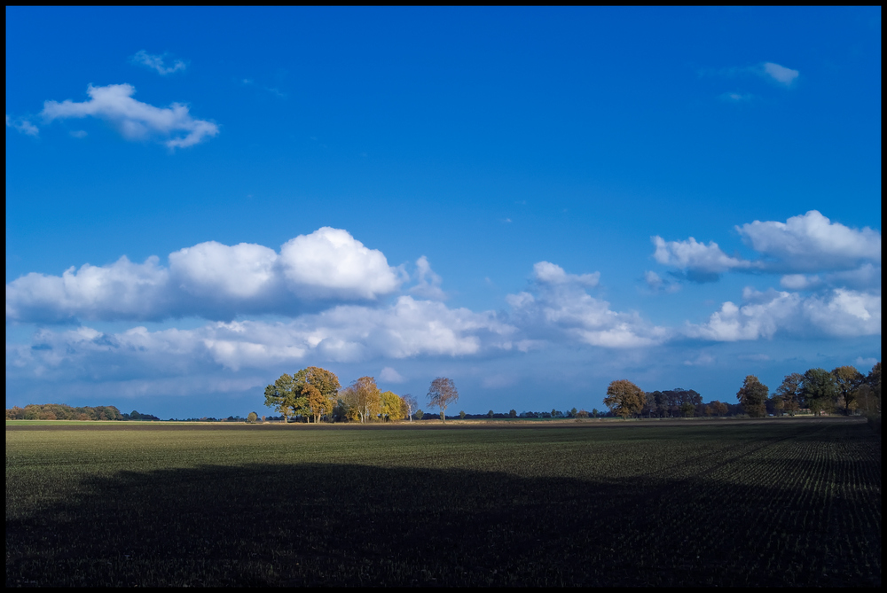 Am Scharrelberg im Herbst