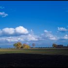 Am Scharrelberg im Herbst