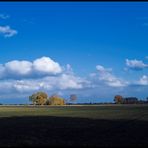 Am Scharrelberg im Herbst