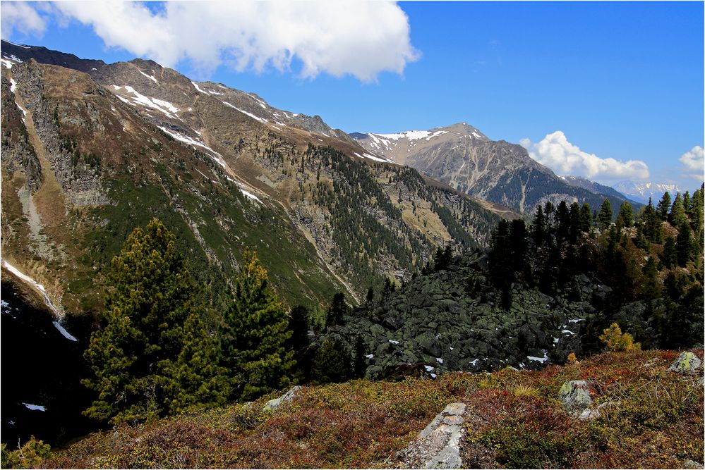 am "Schartele" mit Blick nach Norden