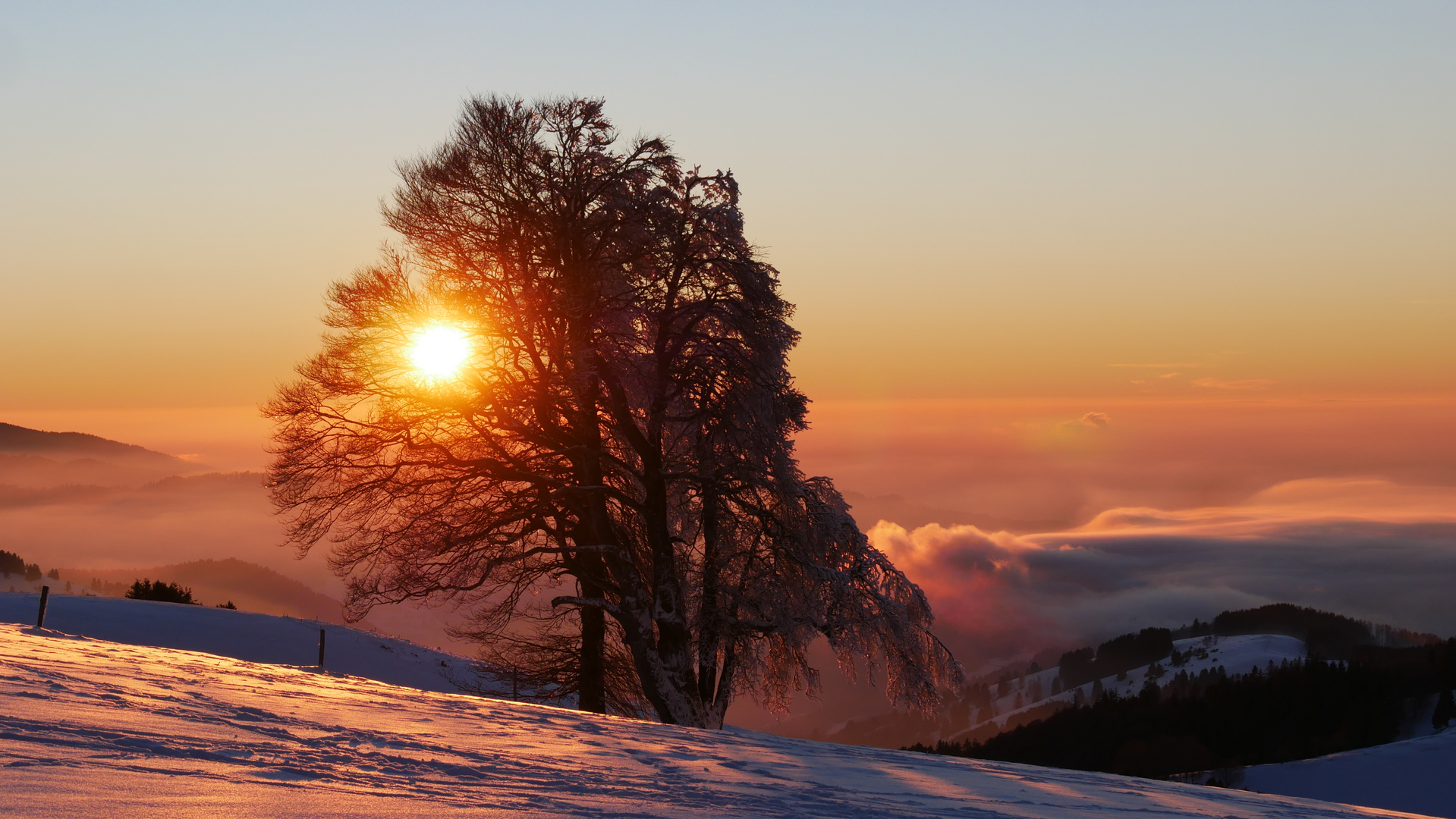 am Schauinsland