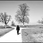 Am Scheideweg