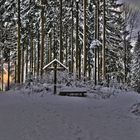 Am Scheideweg