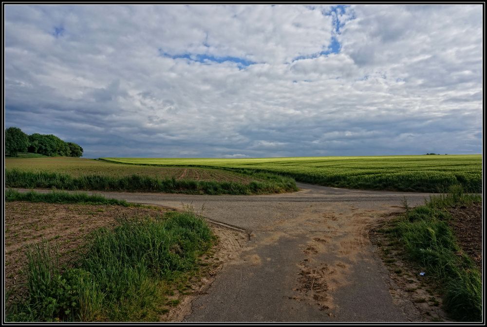 Am Scheideweg ...