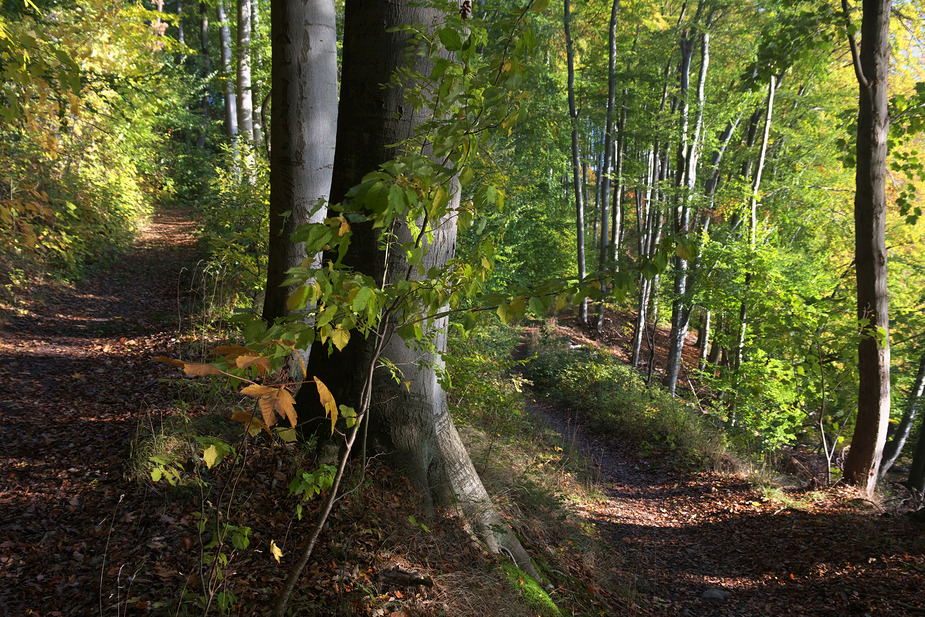 Am Scheideweg