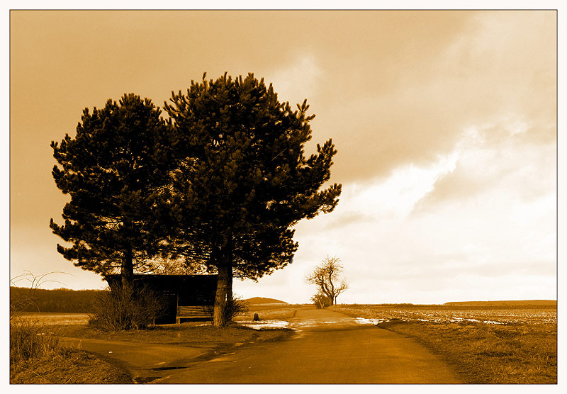 Am Scheideweg