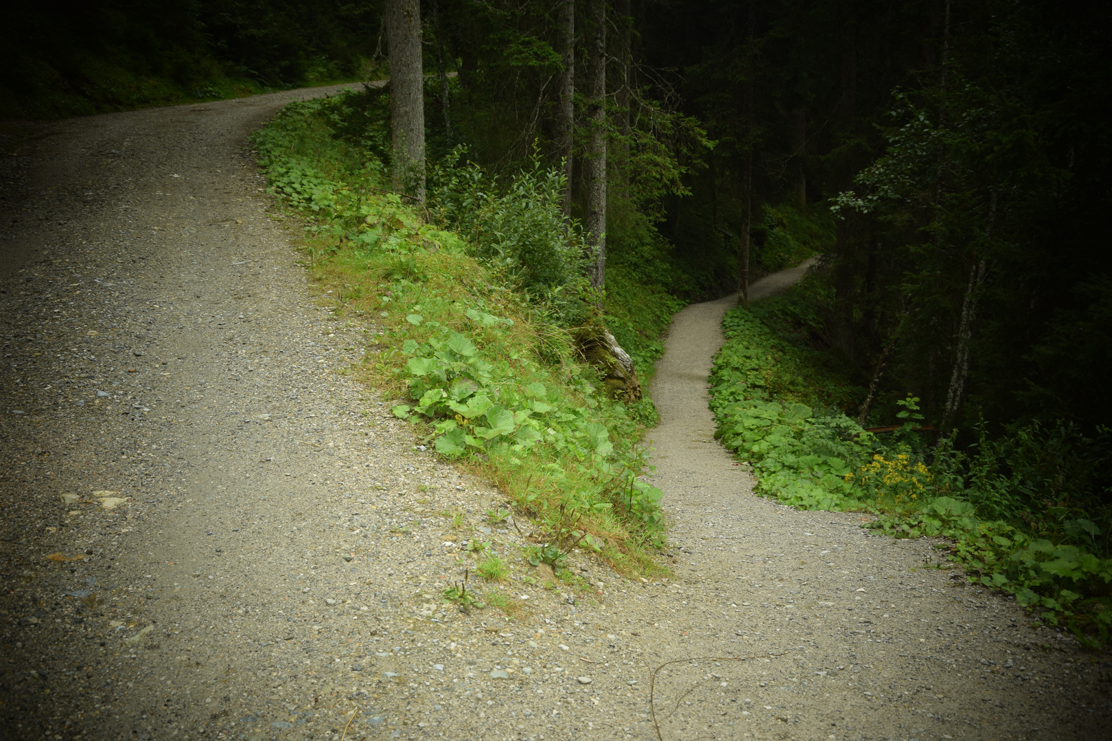 Am Scheideweg