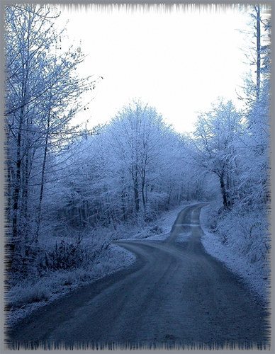 Am Scheideweg