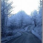 Am Scheideweg