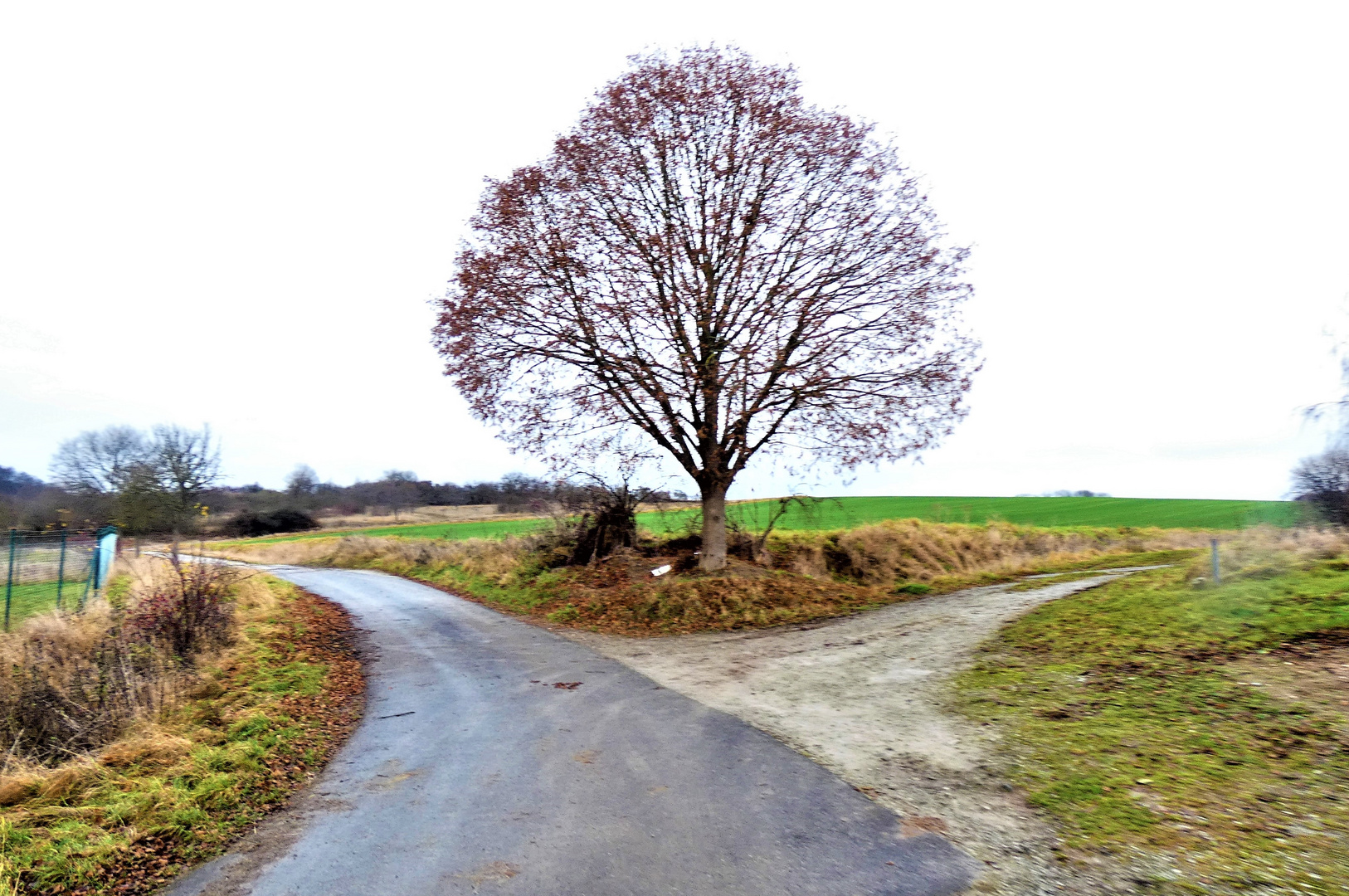 am Scheideweg