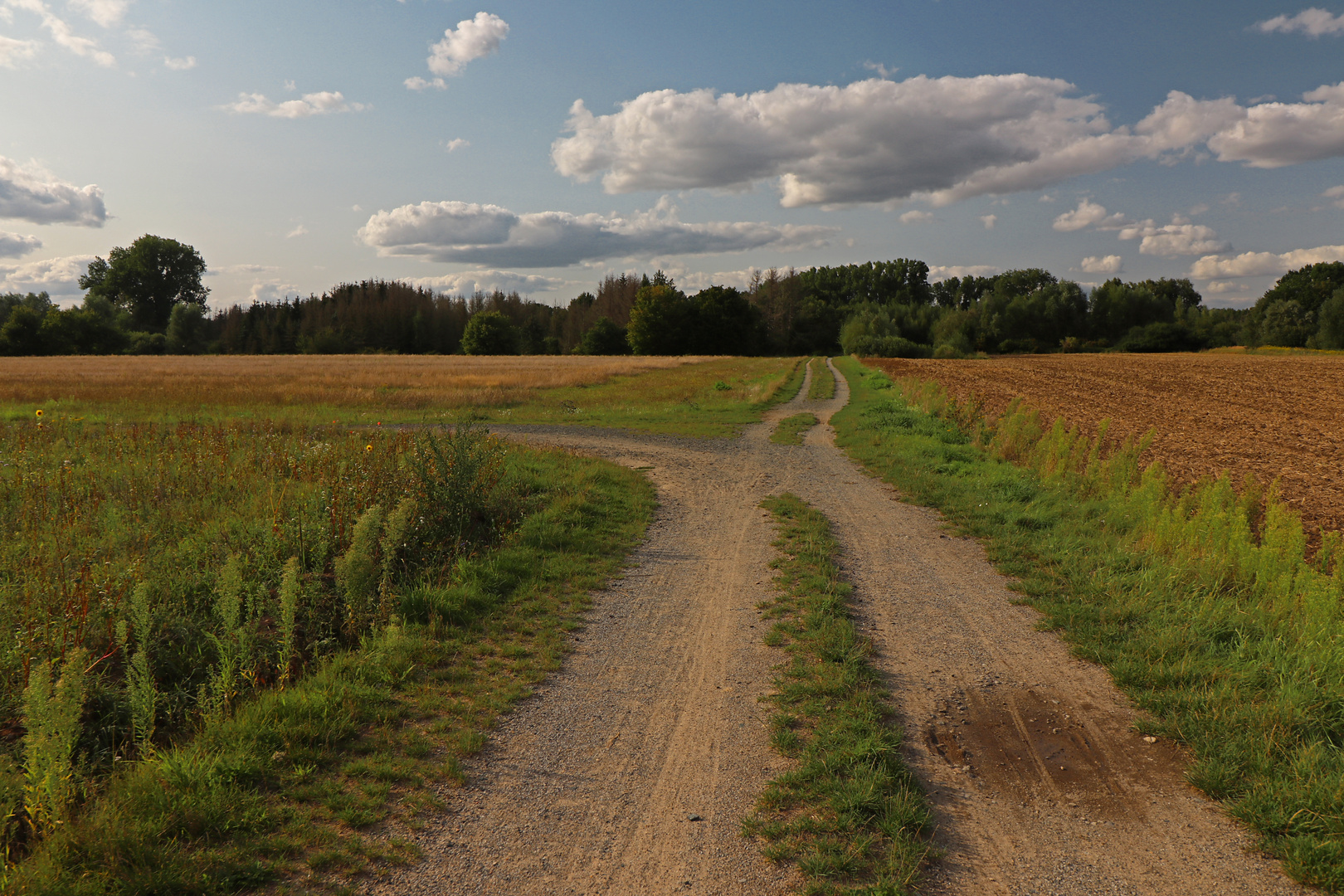 Am Scheideweg