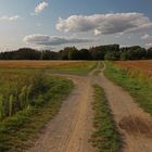 Am Scheideweg