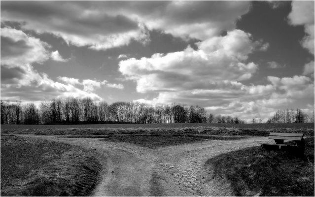 Am Scheideweg