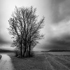 Am Scheideweg