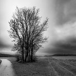 Am Scheideweg