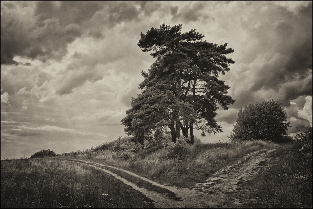 Am Scheideweg