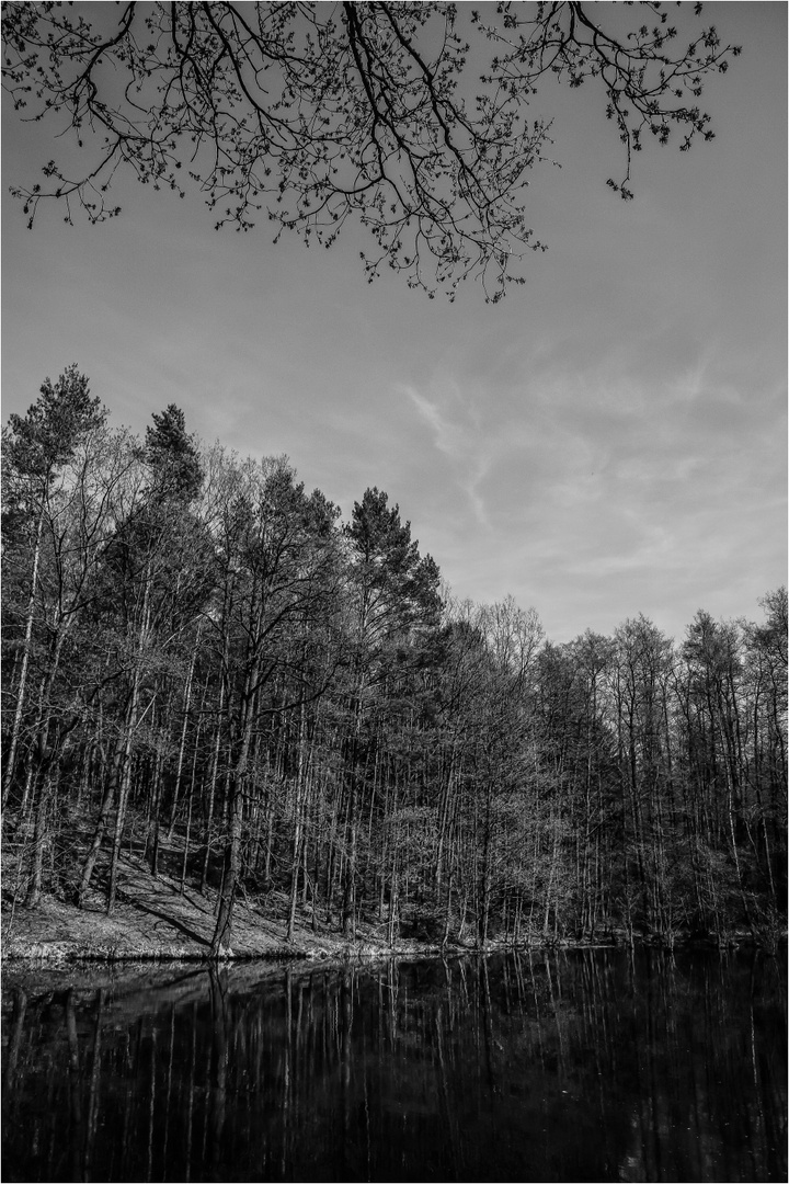 Am Schildkrötenteich