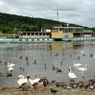 Am " Schillergarten" in Dresden an der Elbe