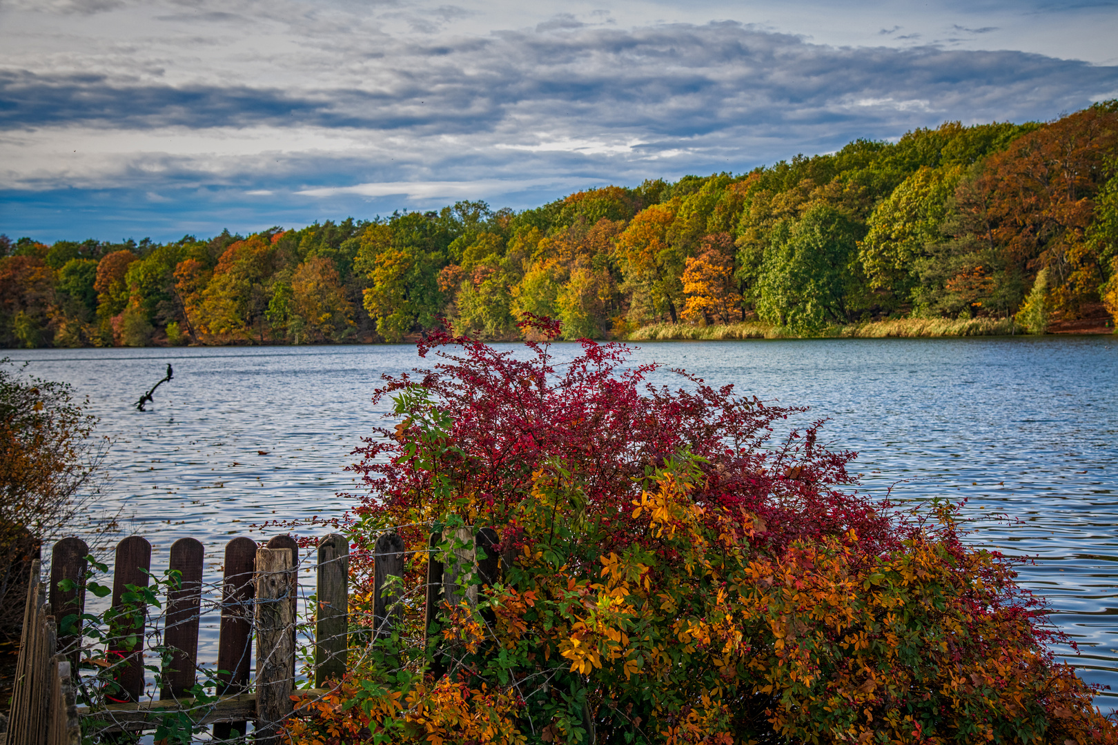 Am Schlachtensee