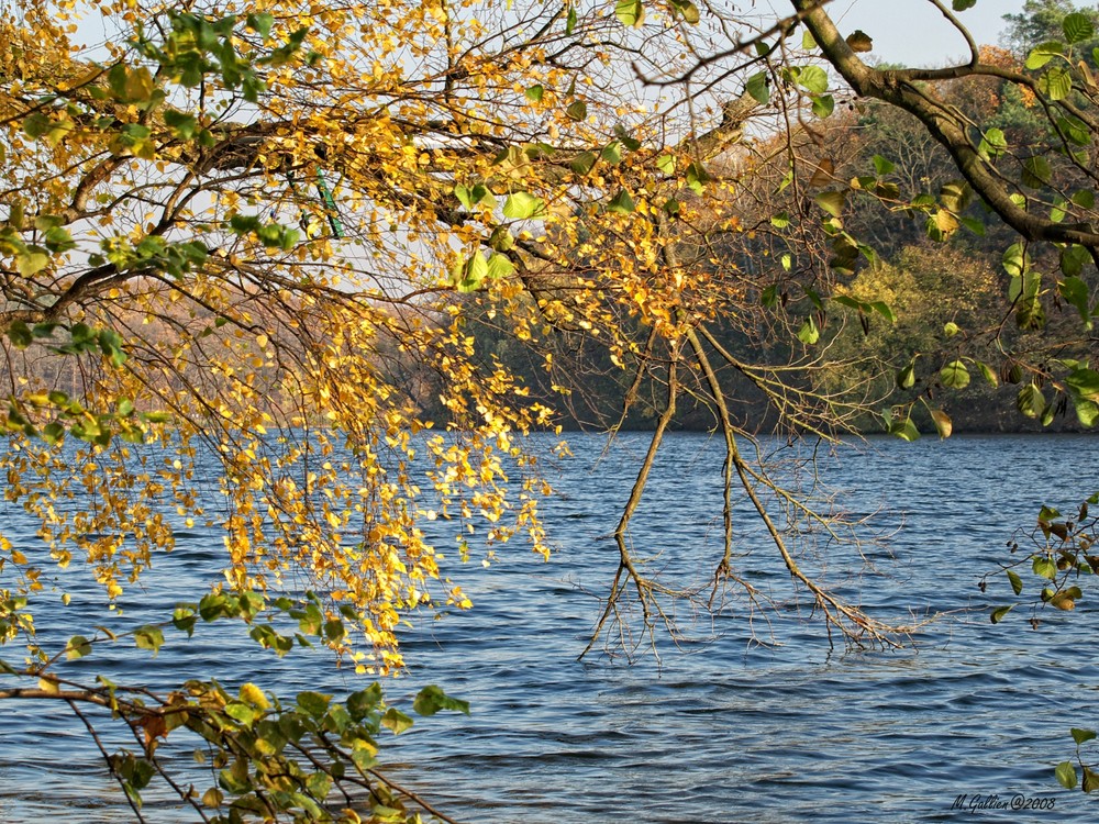 Am Schlachtensee