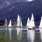 am schliersee