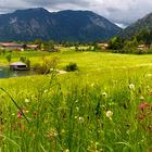 Am Schliersee