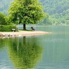 Am Schliersee unter´m Kastanienbaum