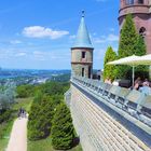 Am Schloss Drachenburg