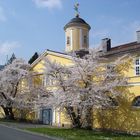 Am Schloss Wilhelmshöhe