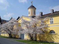 Am Schloss Wilhelmshöhe