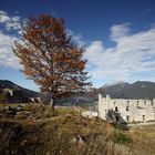 am Schloßkopf  - Ruine Ehrenberg - Reutte 14 10 2019