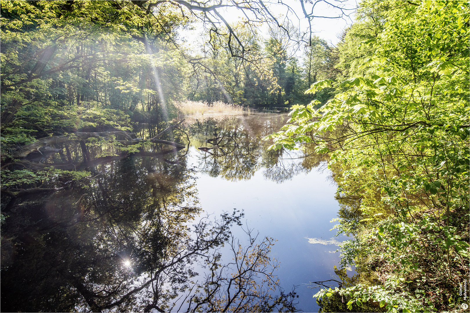 Am "Schloss"teich