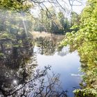 Am "Schloss"teich