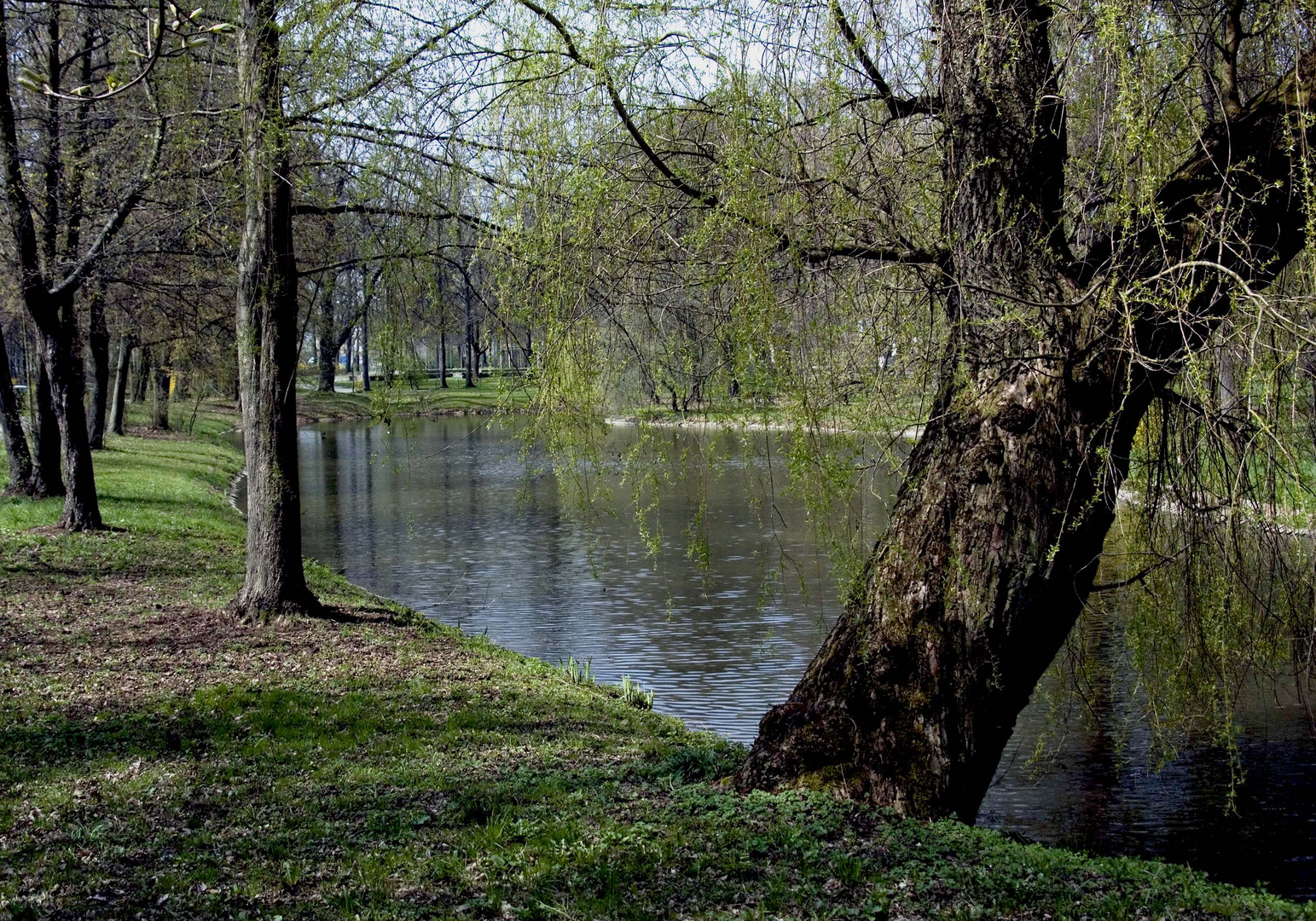 Am Schlossteich in Chemnitz