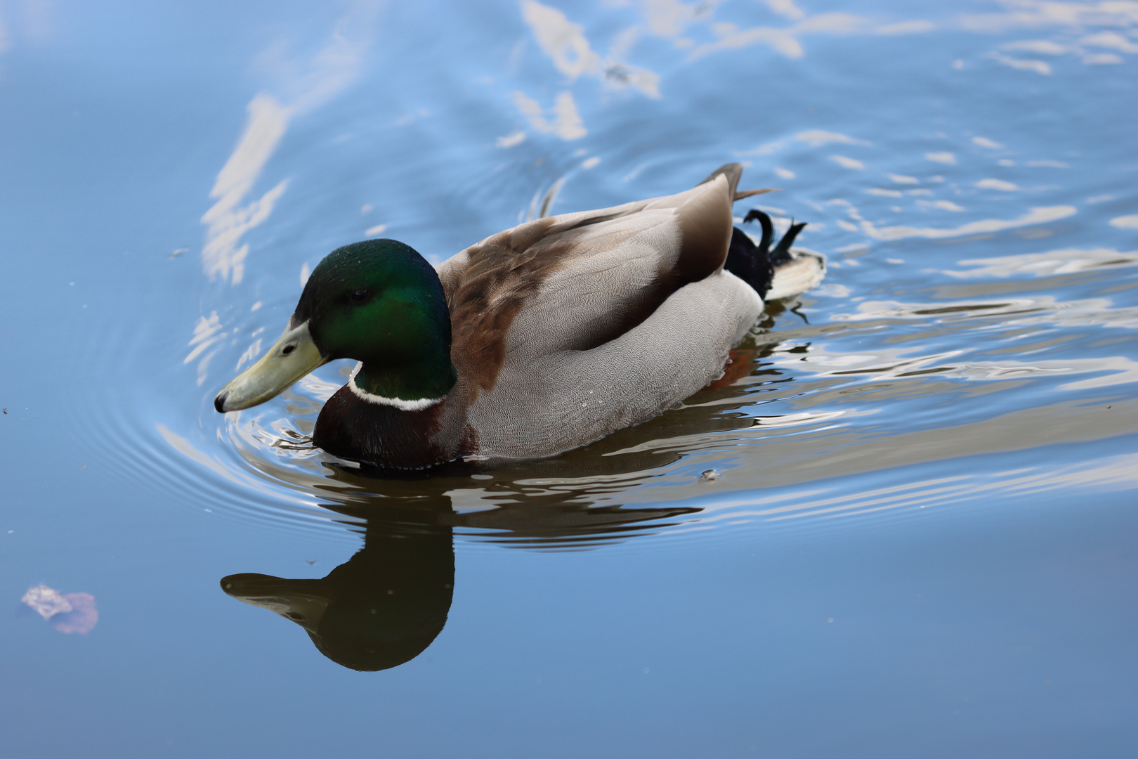 Am Schlossweiher