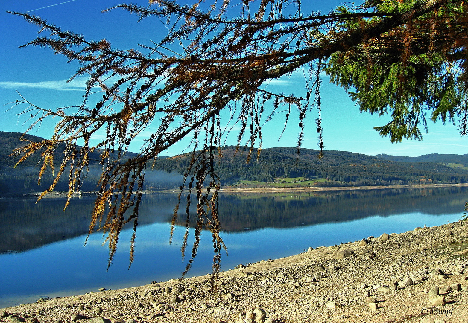 Am Schluchsee