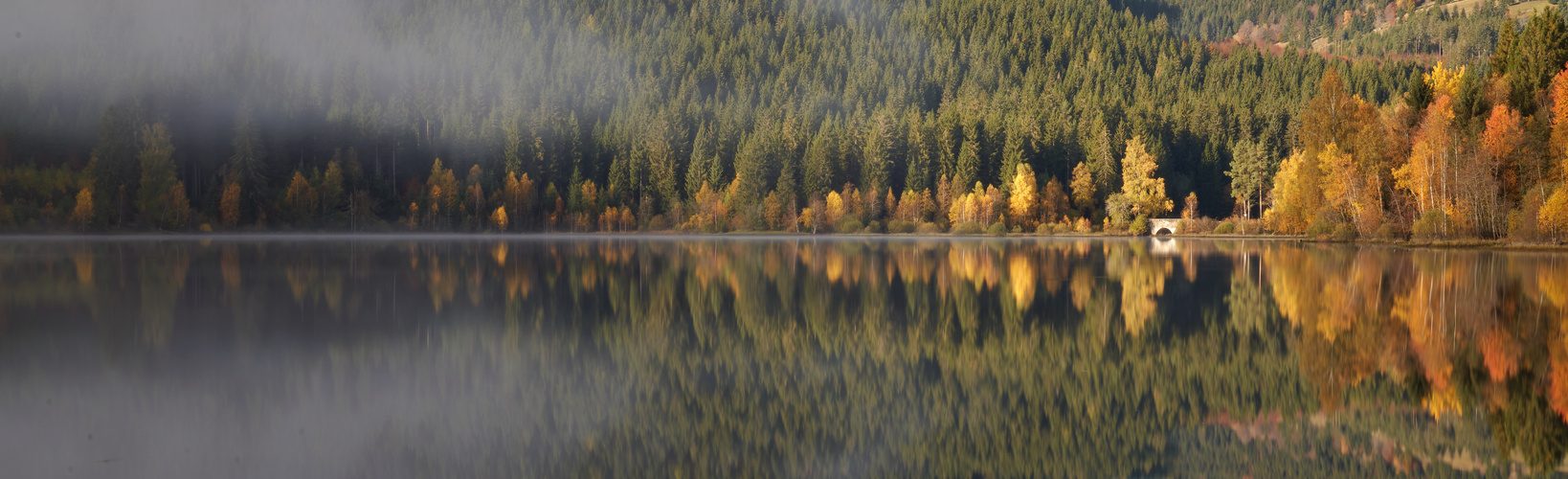 Am Schluchsee