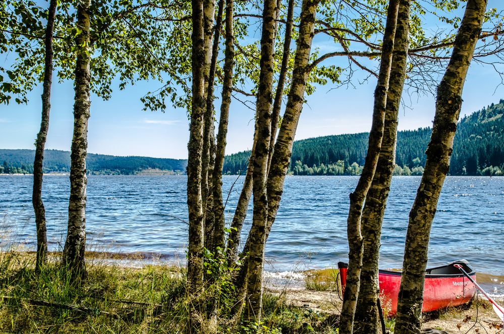 Am Schluchsee