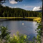 Am Schluchsee bei Aha