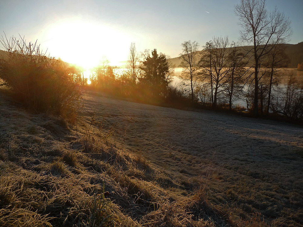 Am Schluchsee