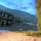 ...am Schluchsee (riesiger Stausee bei Freiburg im Breisgau)