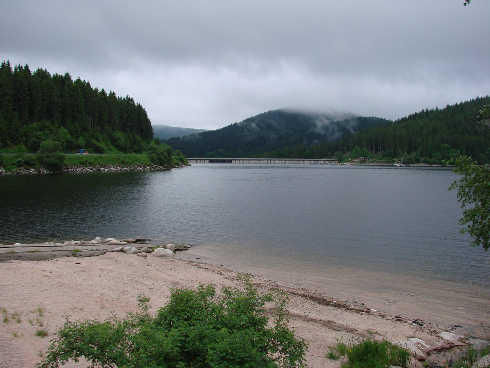 Am Schluchsee,Juni 2008