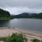 Am Schluchsee,Juni 2008