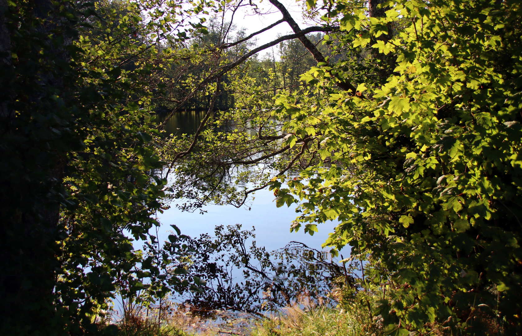 am Schlüchtsee