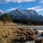 am Schmalensee bei Mittenwald