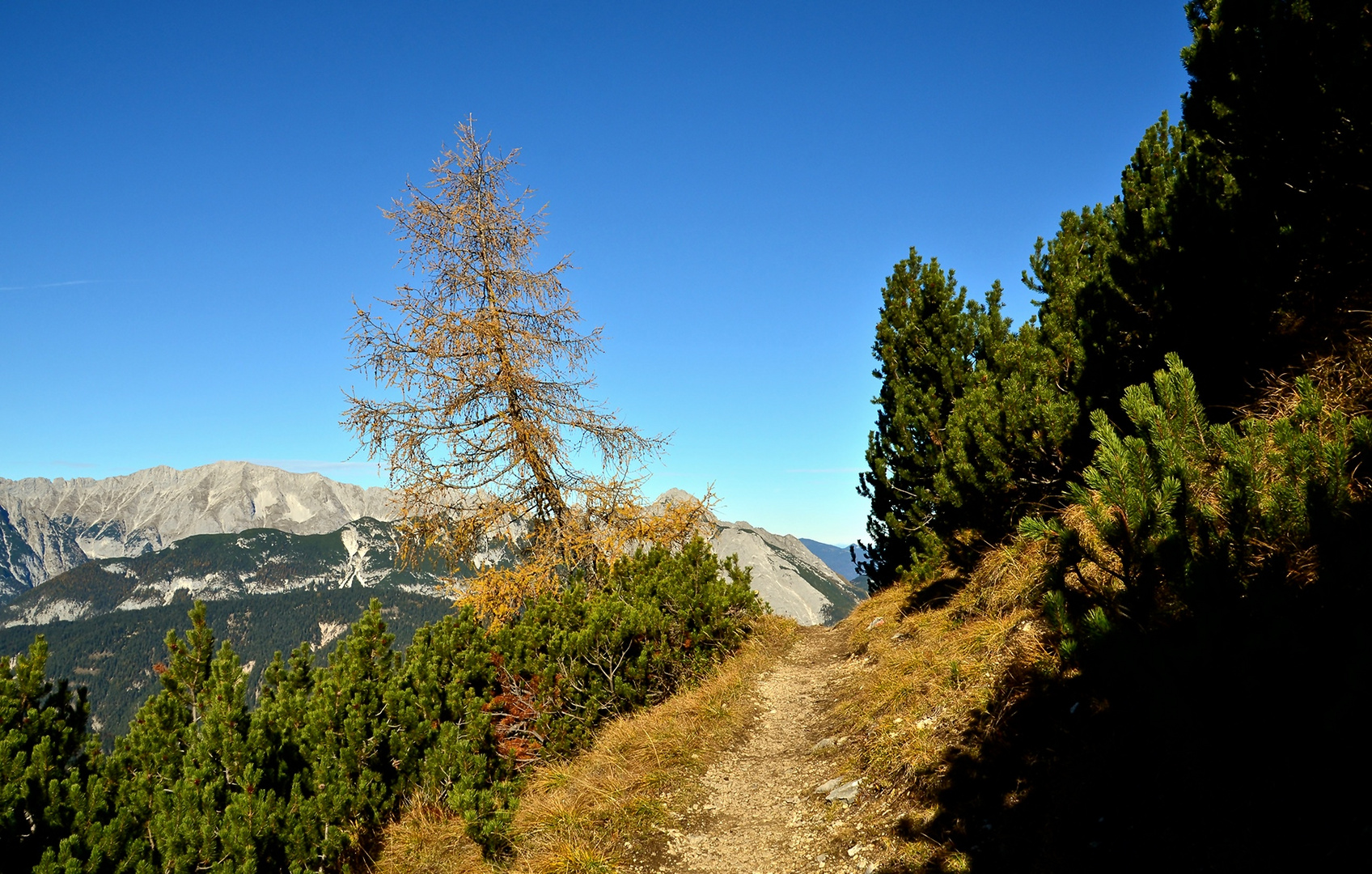 Am Schönanger Steig