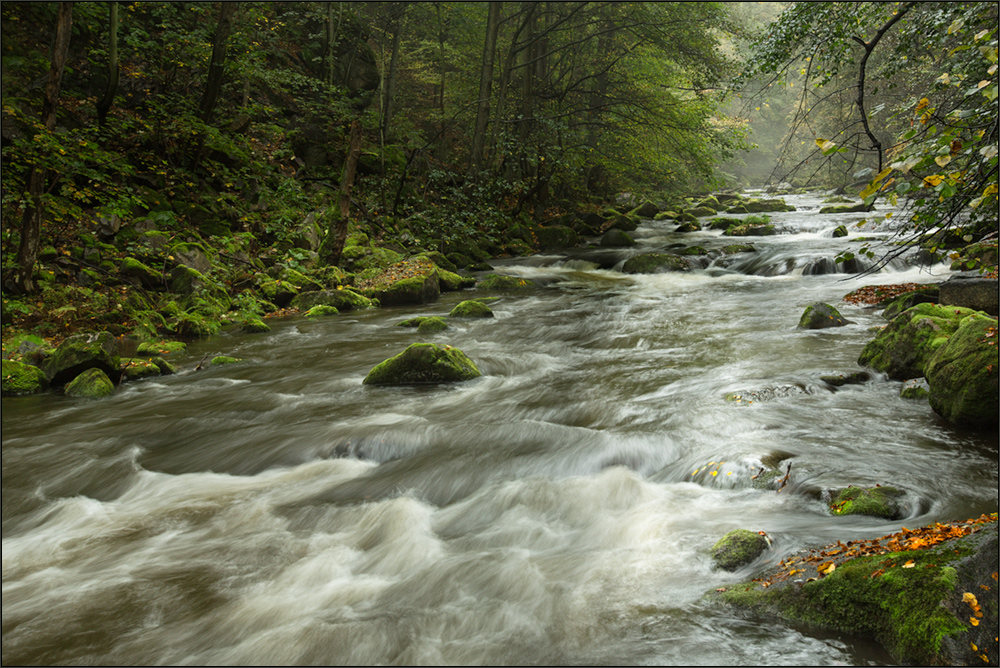 am schönen bode-fluss