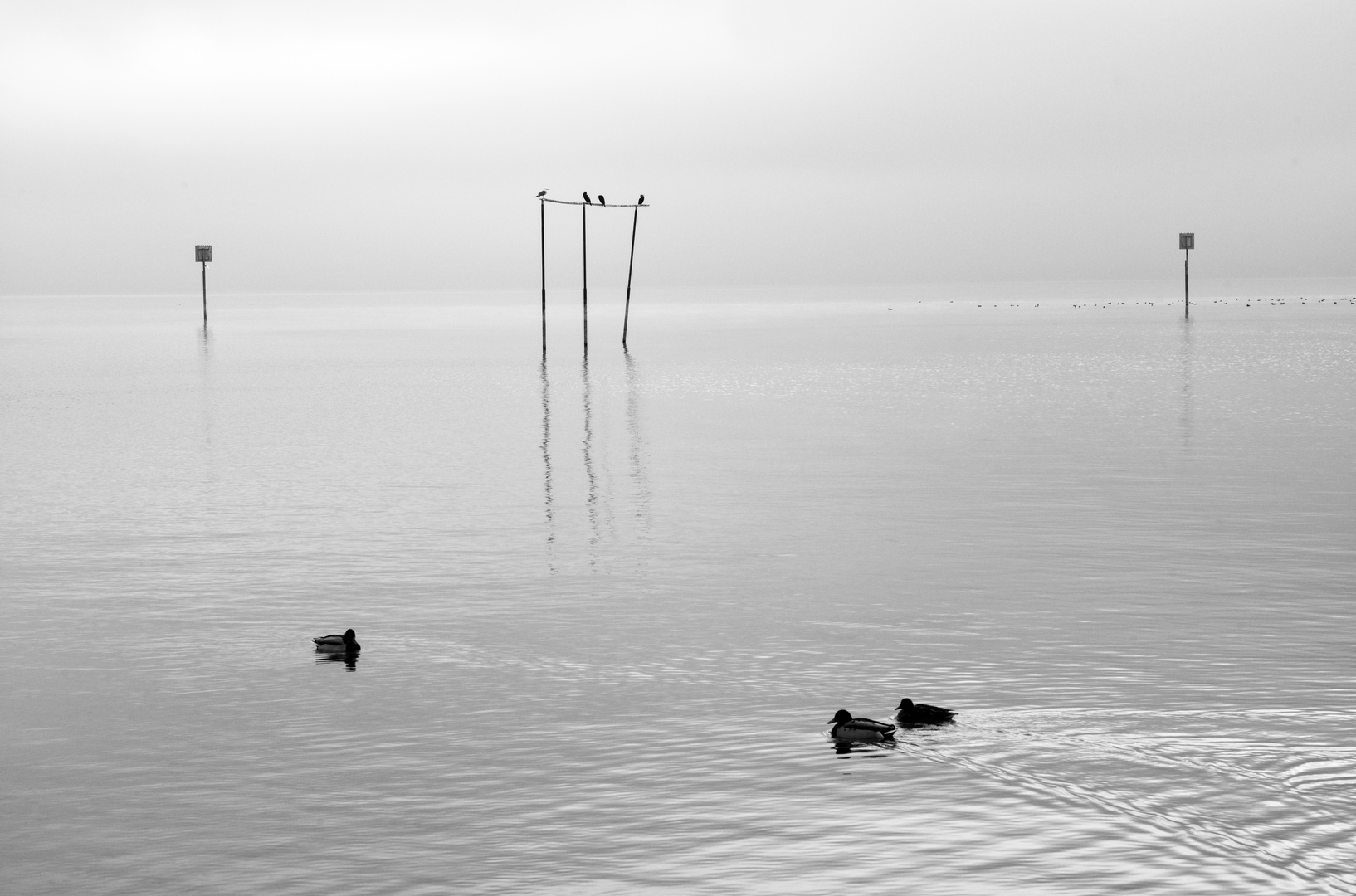 Am schönen Bodensee