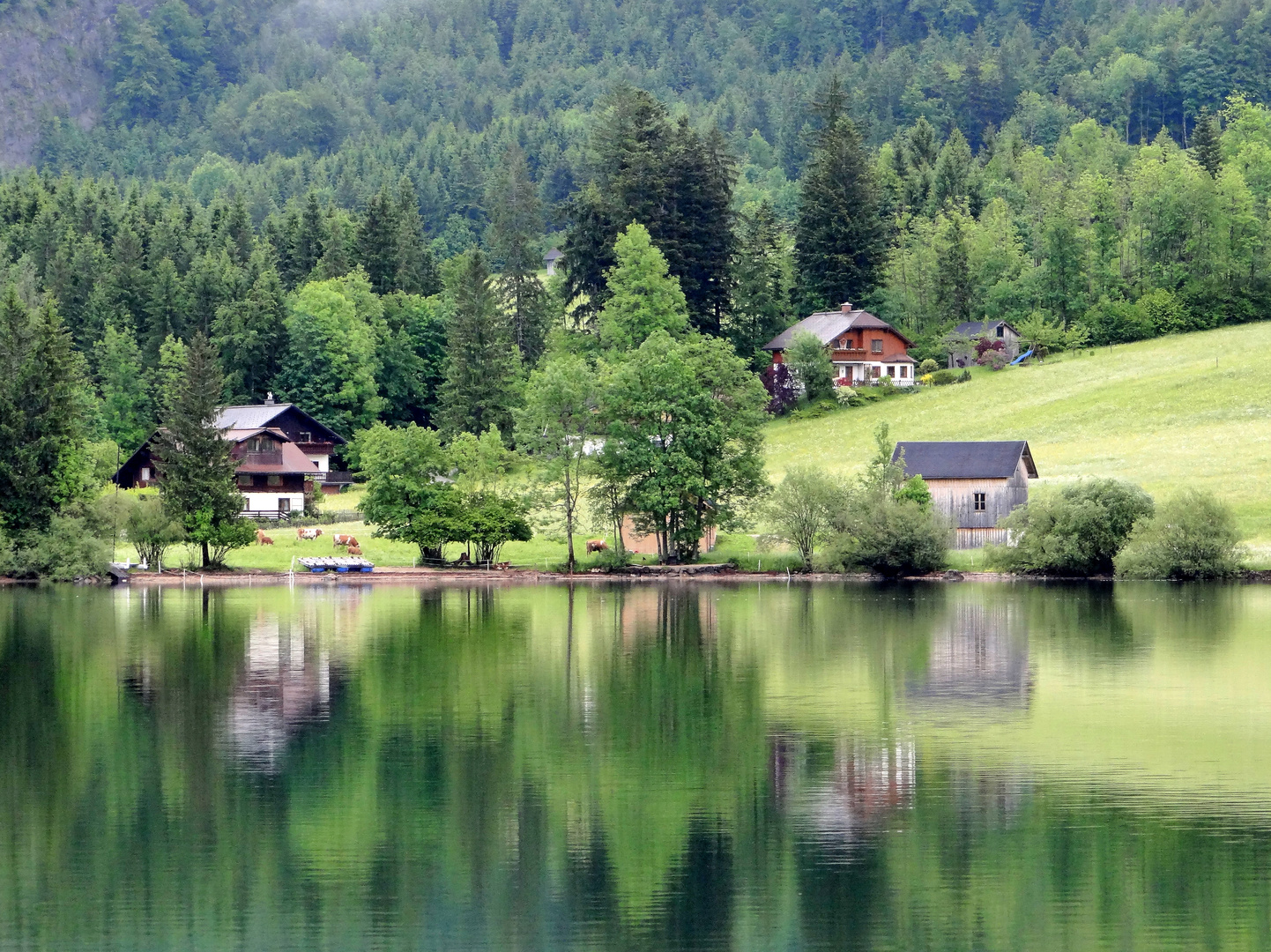 am schönen grünen Grundlsee